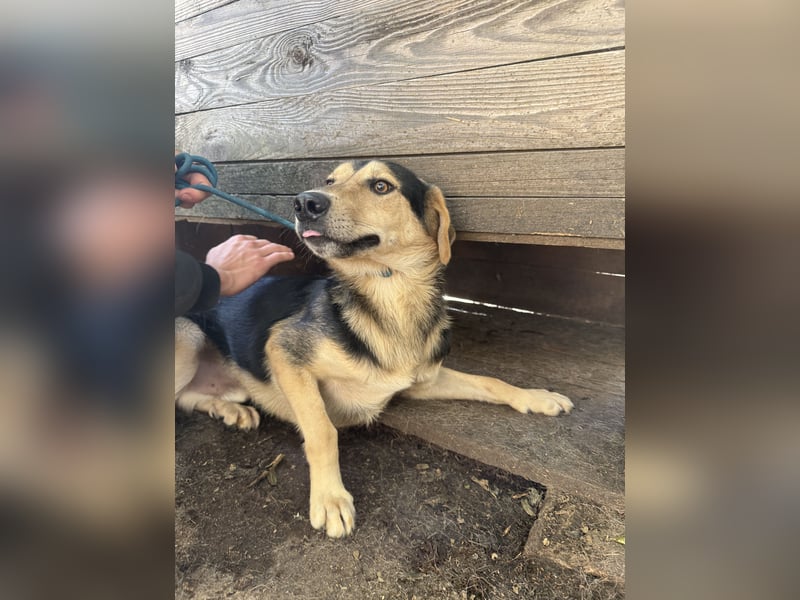 Ahmed braucht eine Chance