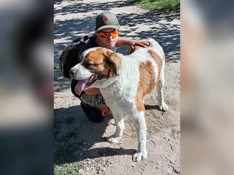 Ruslan sucht Menschen, bei denen er ankommen darf