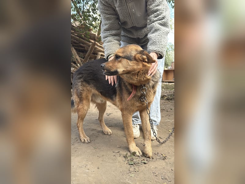 Berci - Ich habe nur einen Wunsch ! Eine Familie