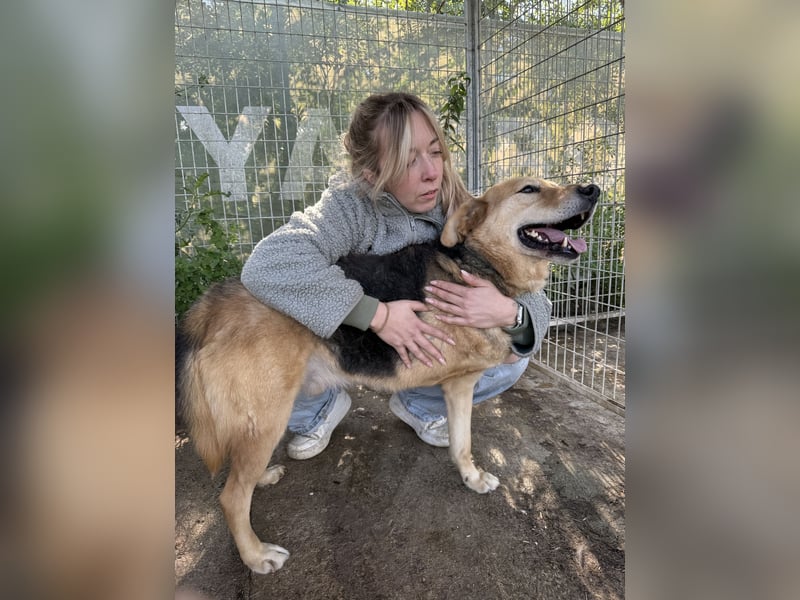 Jago hat ein großes Herz