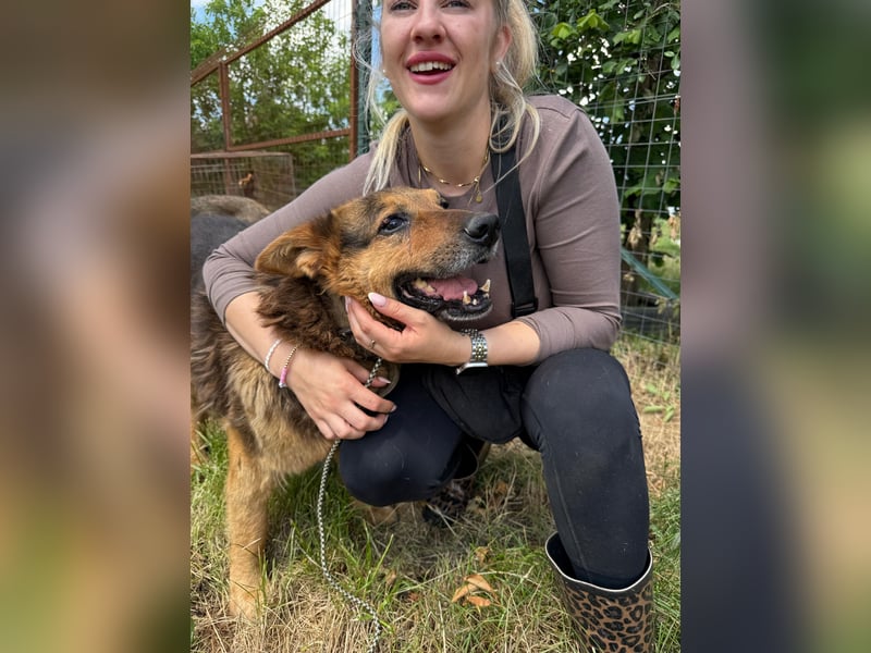 Charlie – unser Sonnenschein