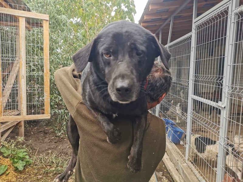 Nerino möchte gerne zu DIR reisen