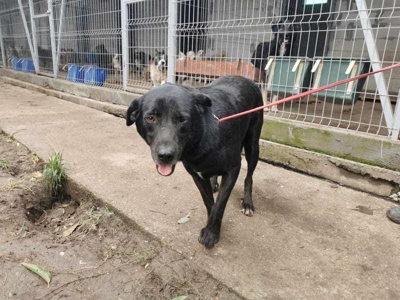 Nerino möchte gerne zu DIR reisen