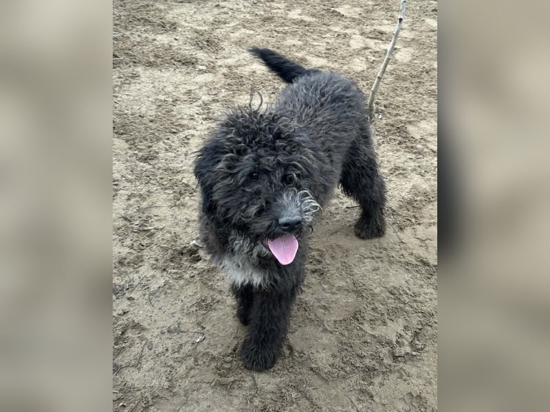 Cézi möchte so gerne dazugehören