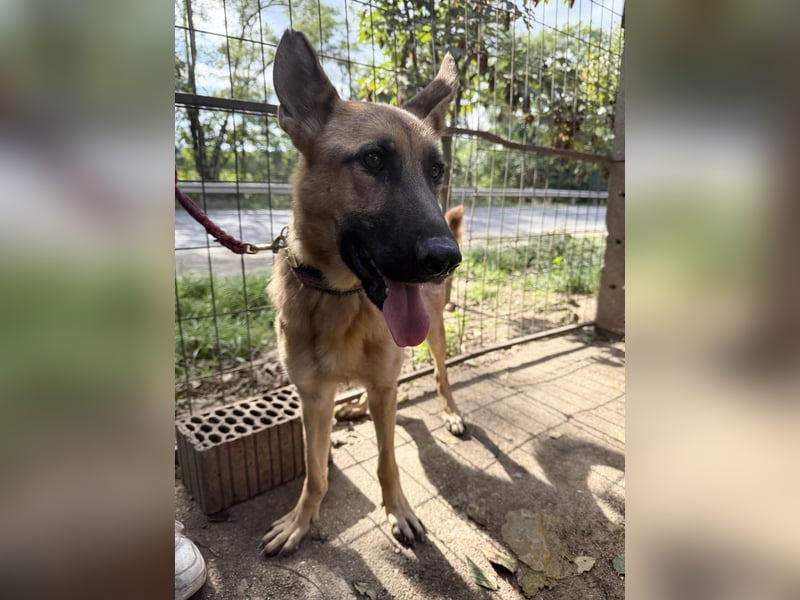 Missy- Genau dich suche ich !