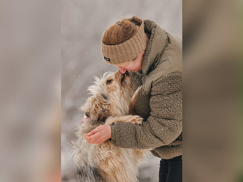 Kleiner Clown Benny sucht seine Menschen