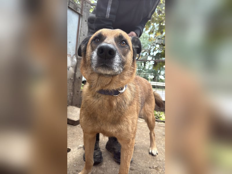 Amigó ist bereit für sein neues Leben