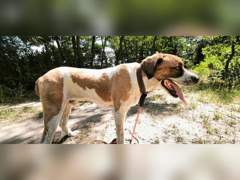 Ruslan sucht Menschen, bei denen er ankommen darf