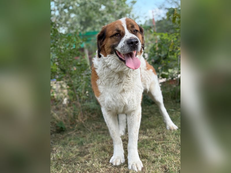 Ruslan sucht Menschen, bei denen er ankommen darf