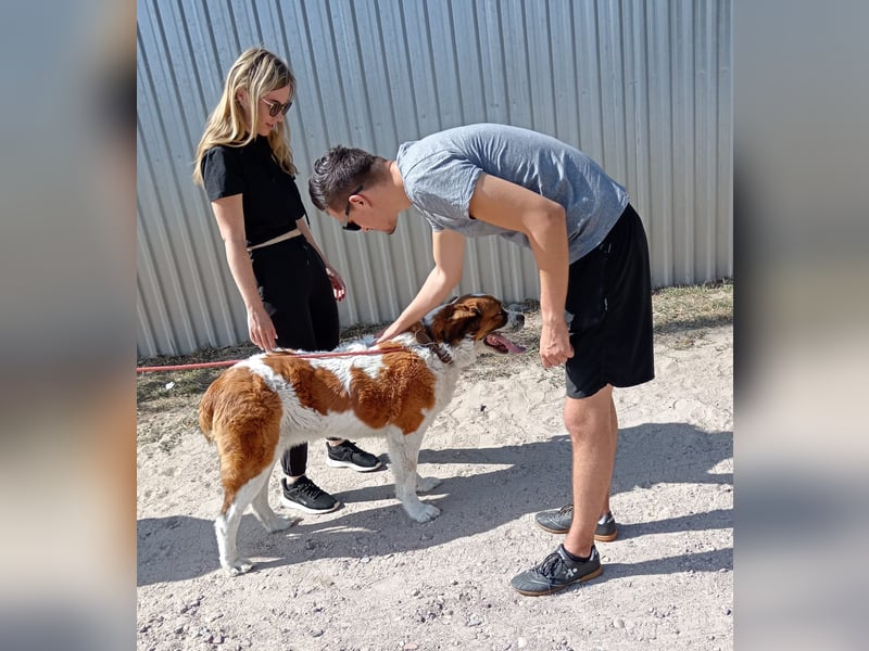 Ruslan sucht Menschen, bei denen er ankommen darf