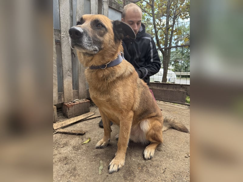 Amigo, wird er dein Freund?