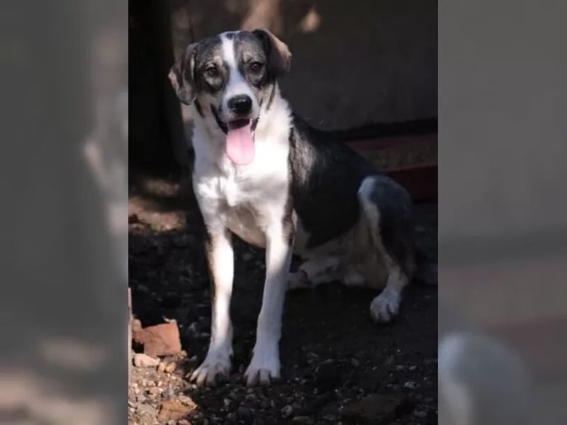 Jimmy möchte Rumänien ganz schnell verlassen