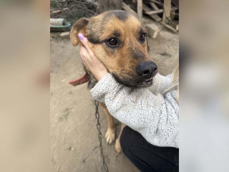 Berci - Ich habe nur einen Wunsch ! Eine Familie