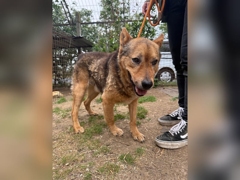 Cingár sucht Einzelplatz