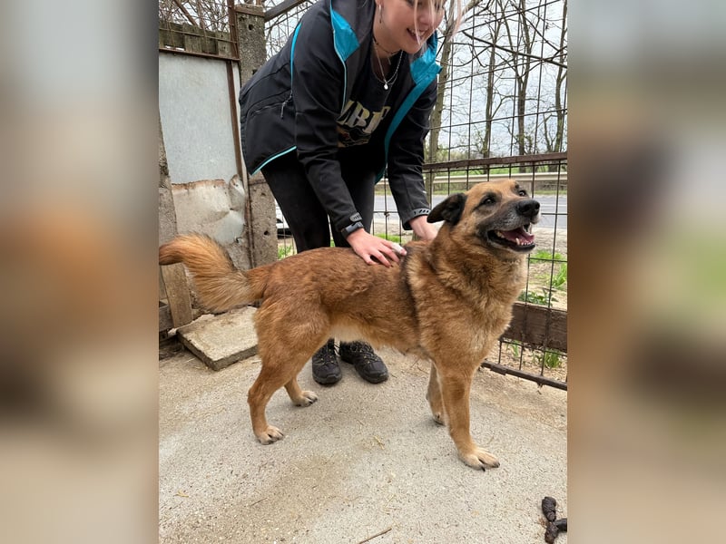 Amigó ist bereit für sein neues Leben