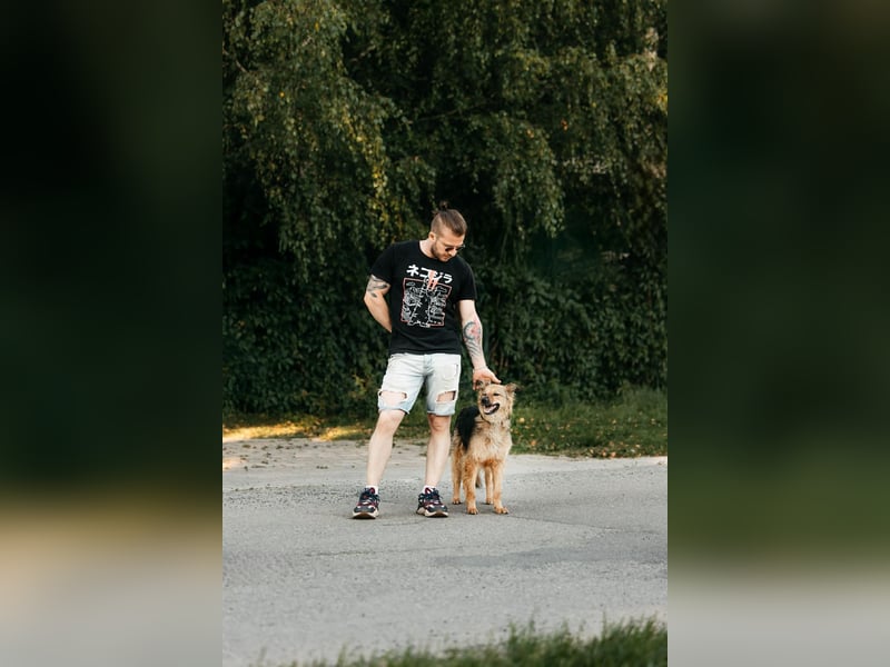 Tolle Larissa sucht liebevolles Zuhause