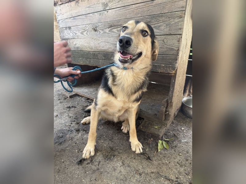 Ahmed braucht eine Chance