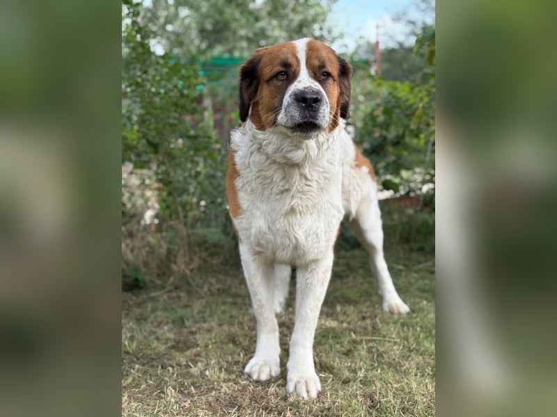 Ruslan sucht Menschen, bei denen er ankommen darf