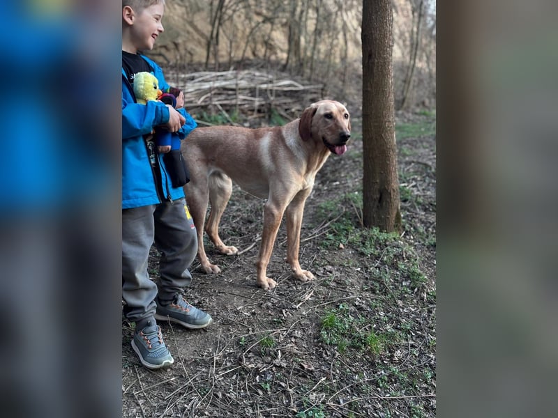 Charlotte sucht ein zu Hause