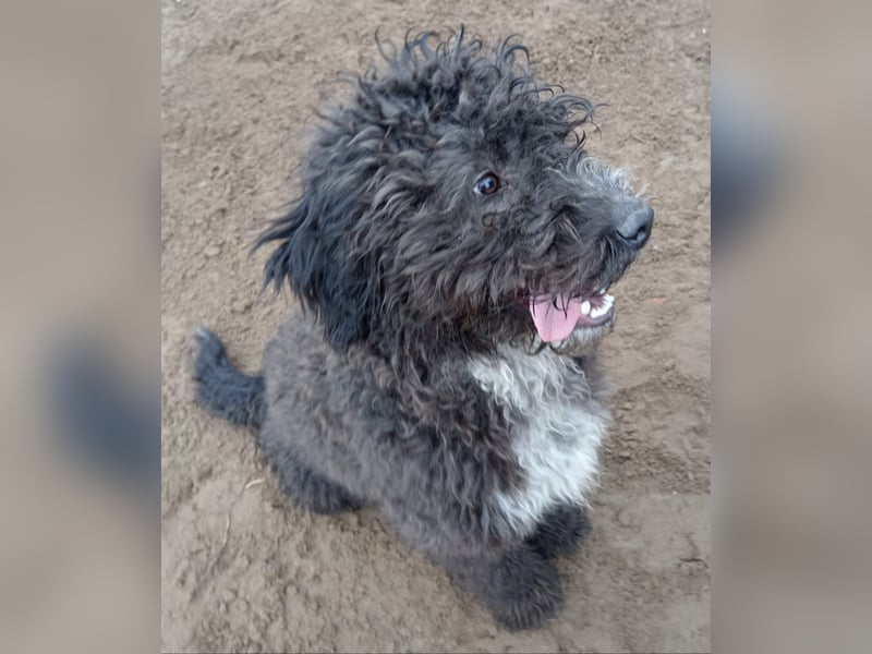 Cézi möchte so gerne dazugehören