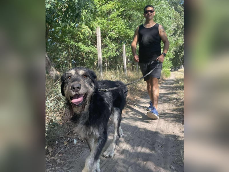 Hermiusz hat so viel Liebe zu geben