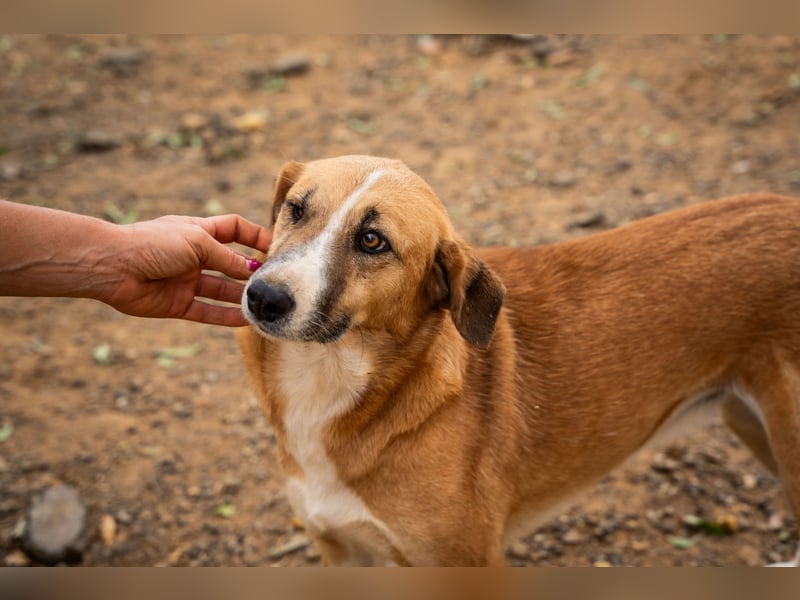 GIOZ - ein Auge, aber trotzdem voller Liebe