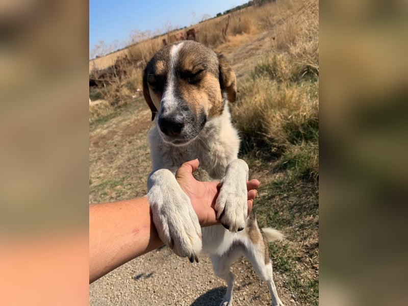 Emma - schenkt dir ein Lächeln!