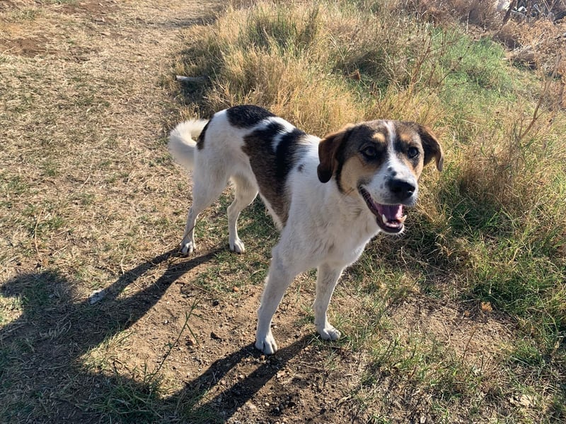 Emma - schenkt dir ein Lächeln!