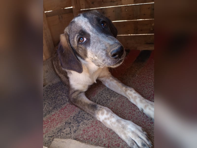 Ina - Kämpferin mit Herz