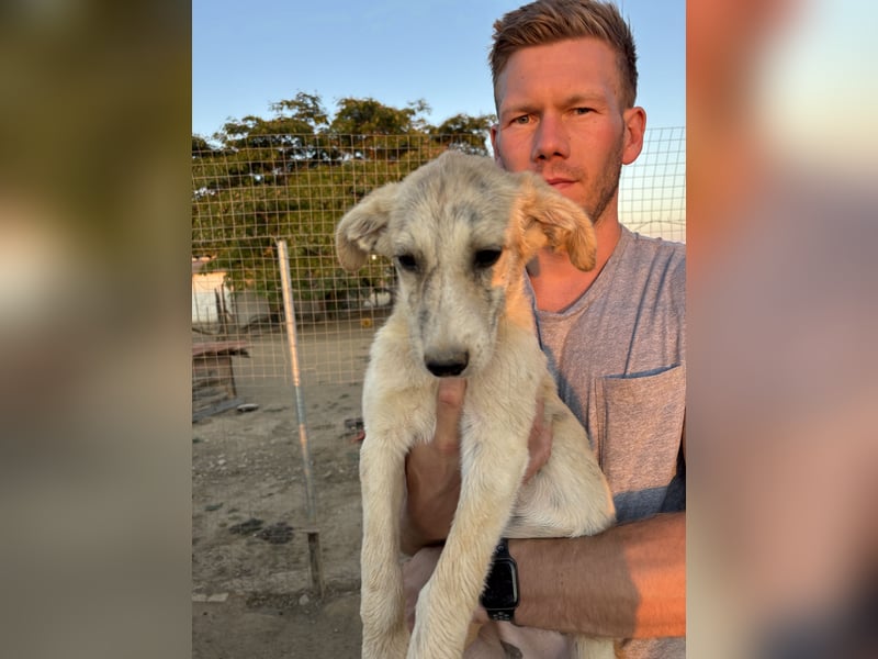 Pepper – kleiner Kämpfer sucht sein Zuhause