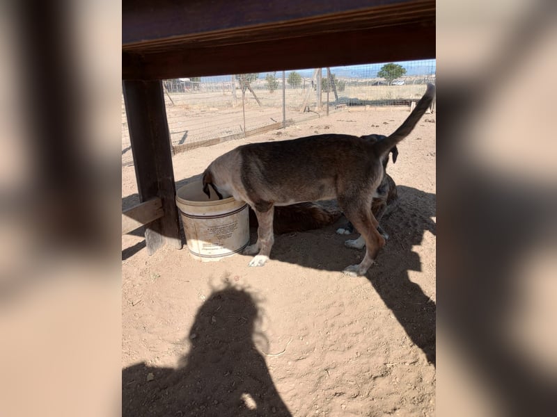 Ina - Kämpferin mit Herz