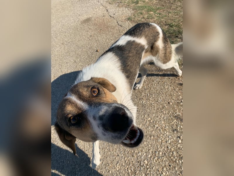 Emma - schenkt dir ein Lächeln!