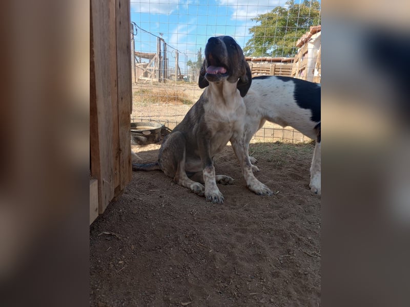 Ina - Kämpferin mit Herz