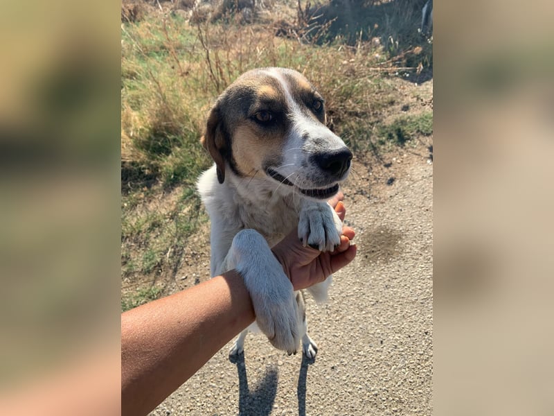 Emma - schenkt dir ein Lächeln!