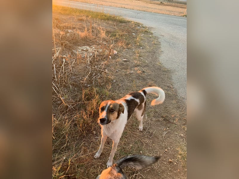 Emma - schenkt dir ein Lächeln!