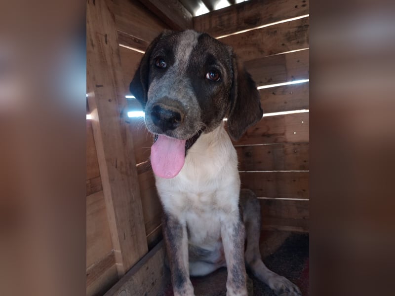 Ina - Kämpferin mit Herz