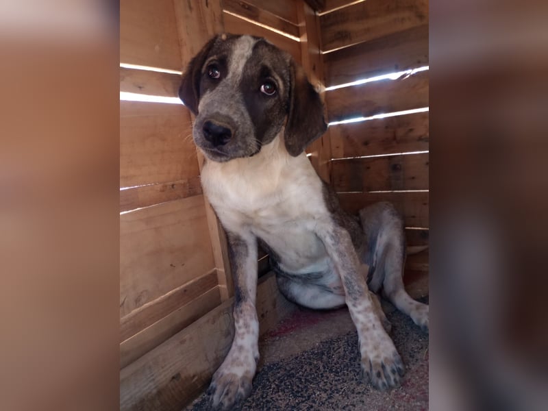 Ina - Kämpferin mit Herz