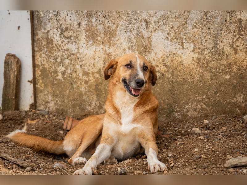 Gioz- ein Auge aber trotzdem voller Liebe