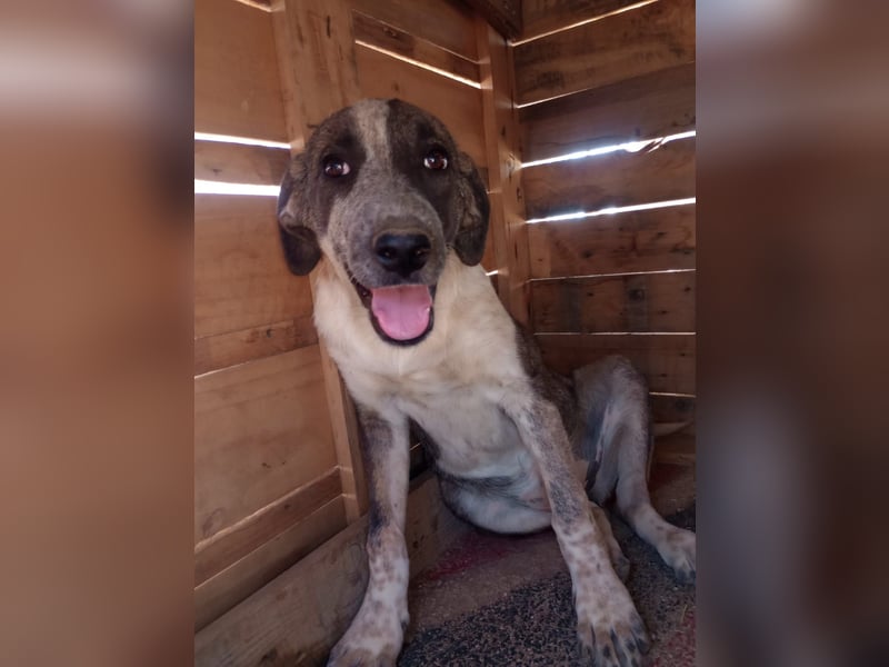 Ina - Kämpferin mit Herz