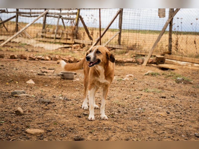 Gioz- ein Auge aber trotzdem voller Liebe