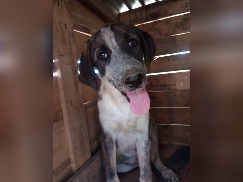 Ina - Kämpferin mit Herz