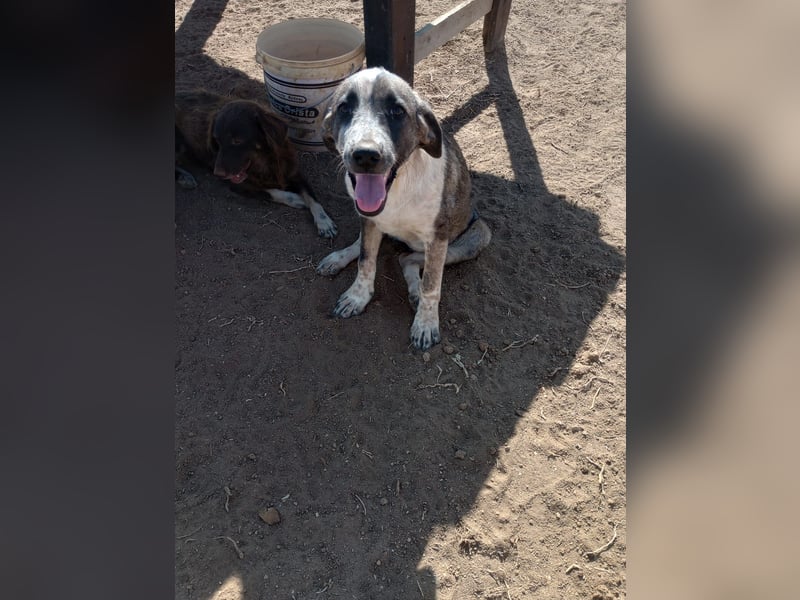 Ina - Kämpferin mit Herz