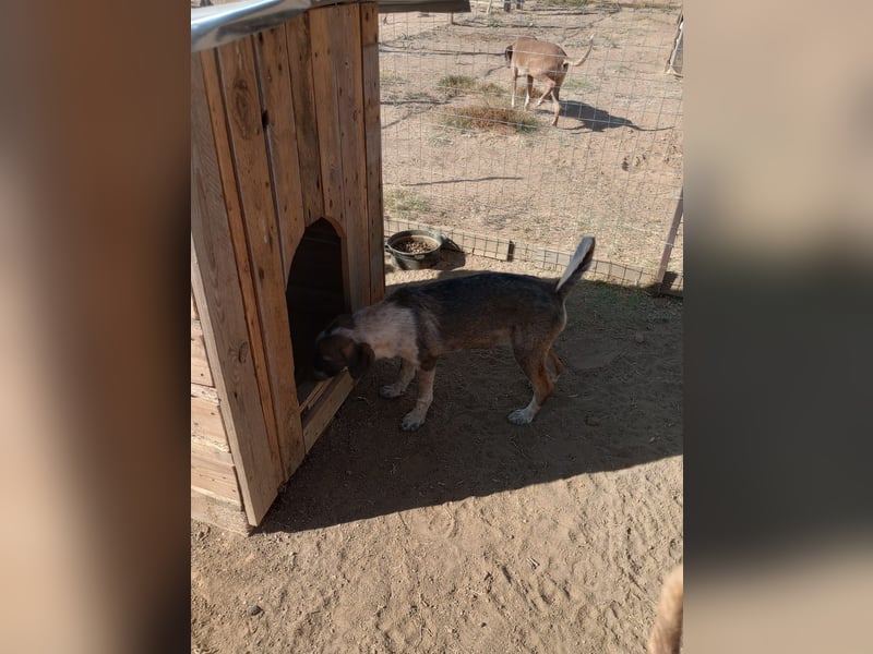 Ina - Kämpferin mit Herz