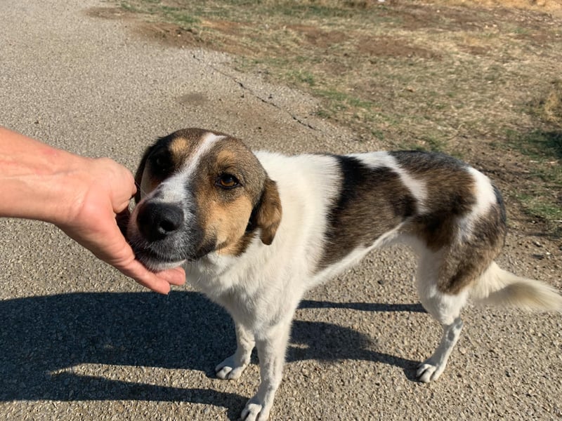 Emma - schenkt dir ein Lächeln!