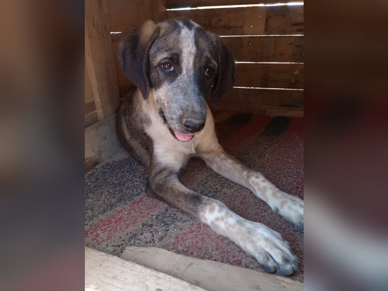 Ina - Kämpferin mit Herz