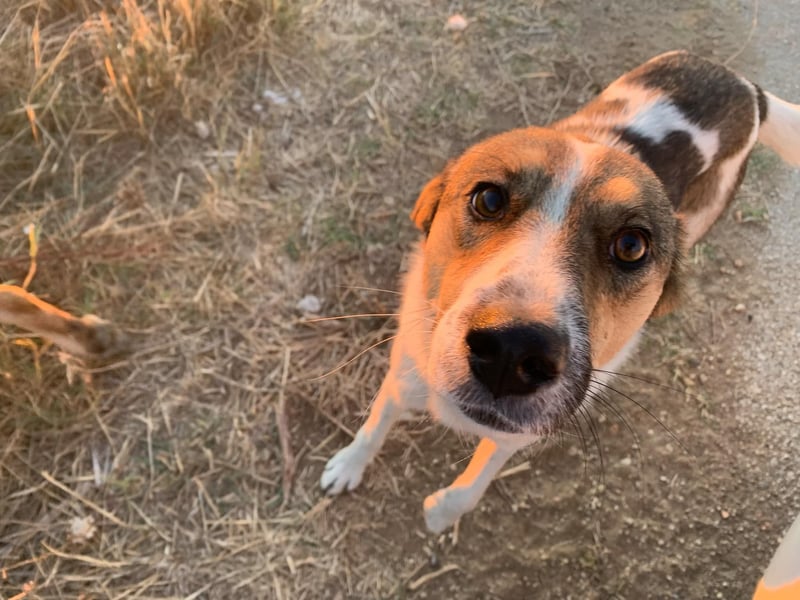 Emma - schenkt dir ein Lächeln!