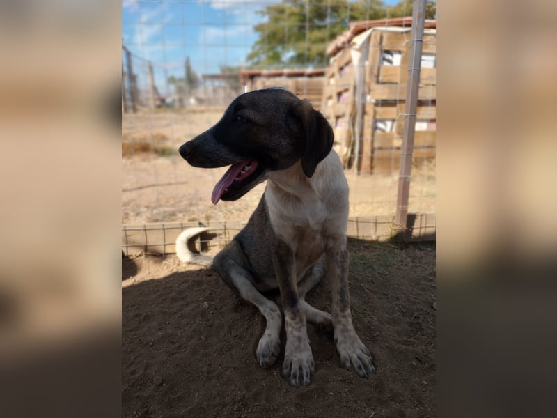 Ina - Kämpferin mit Herz