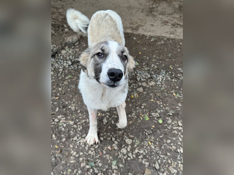 SOARE hätte gerne einen Platz für's Leben