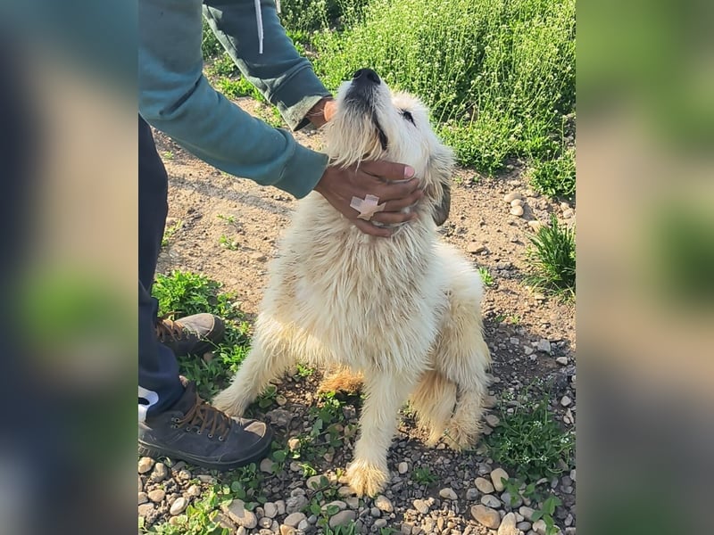 VIATA heißt Leben...