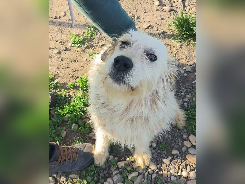 VIATA heißt Leben...